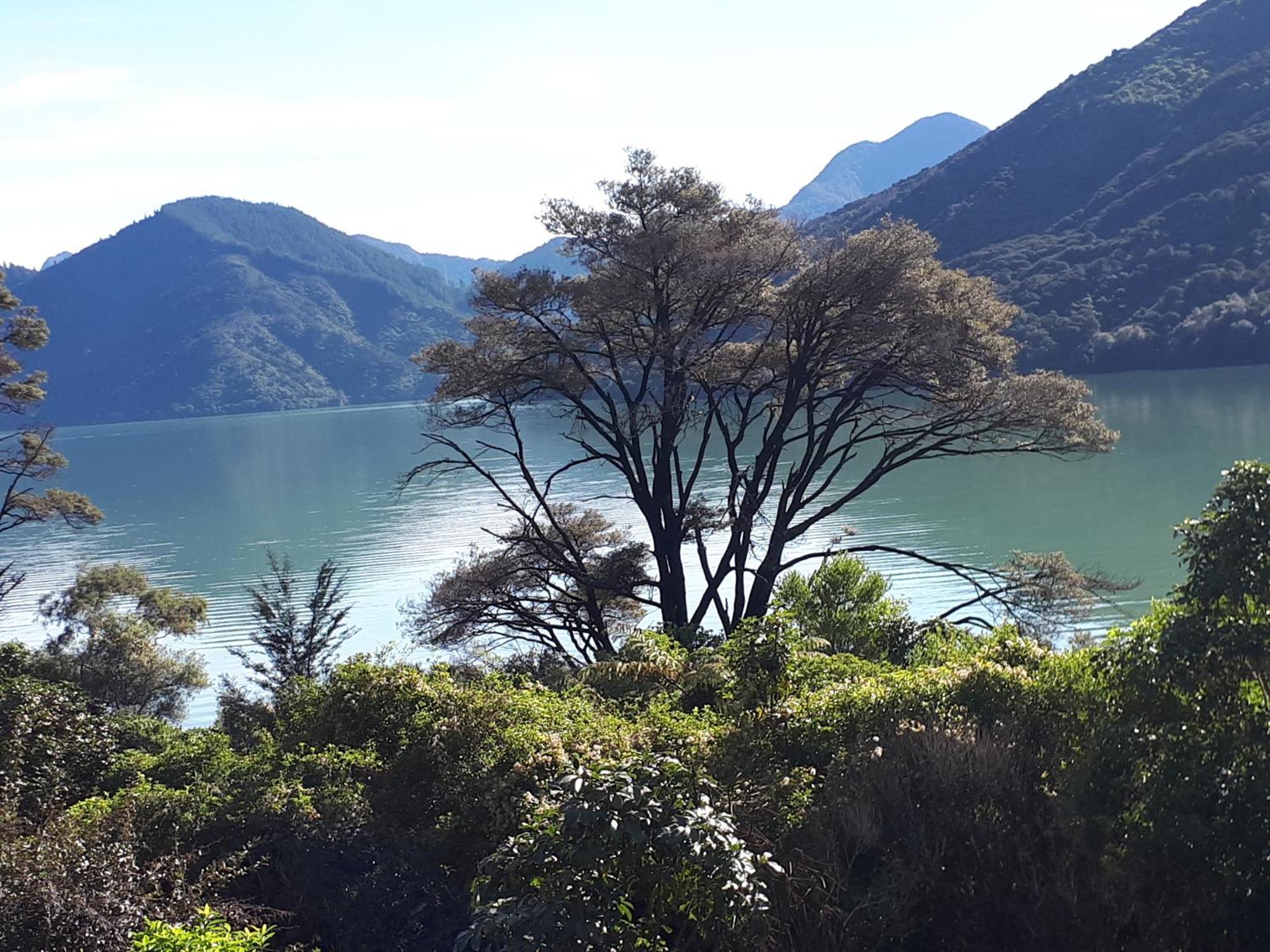 Marlborough Sounds Accommodation Havelock Exteriör bild